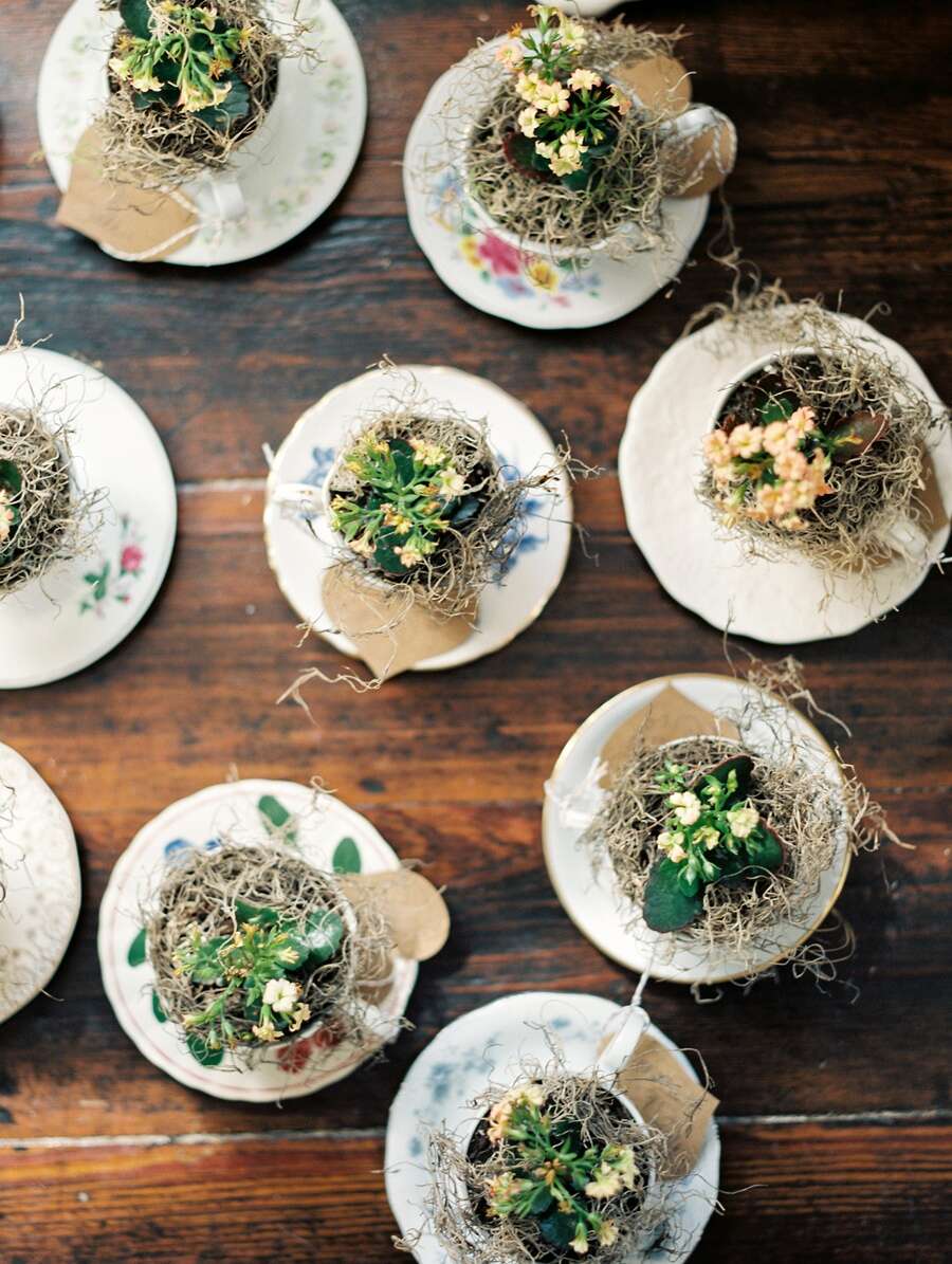 Upload Your Gallery Images Here 3